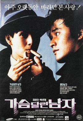 长安十二楼热播电视剧全集